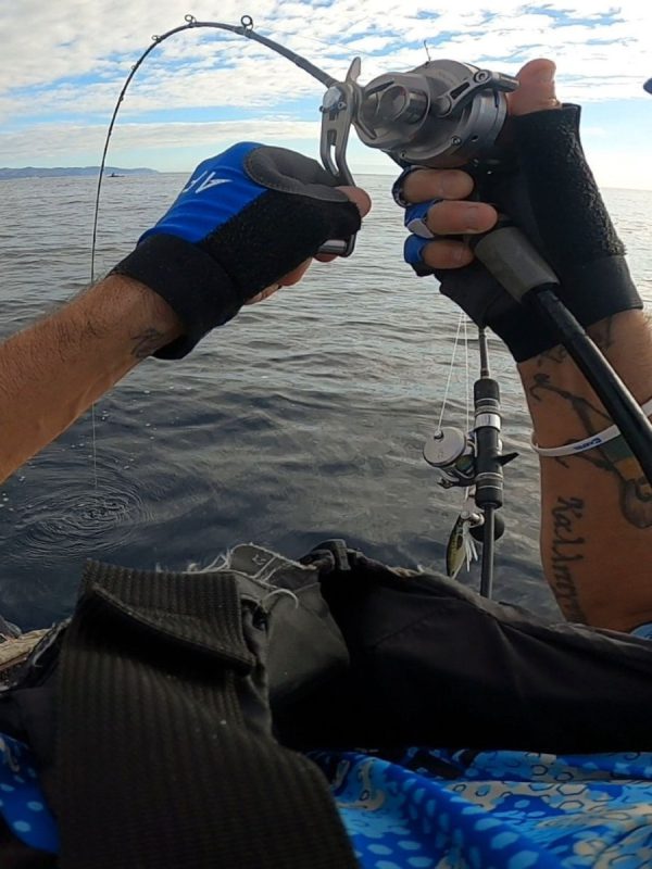 delta fishing lines